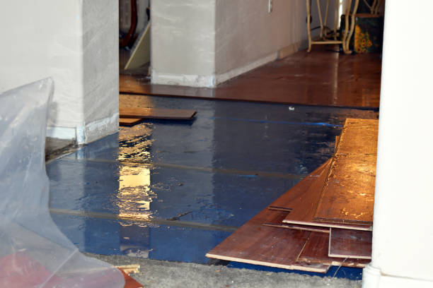 Professional Burst Pipe Cleanup technician working in Fife, WA